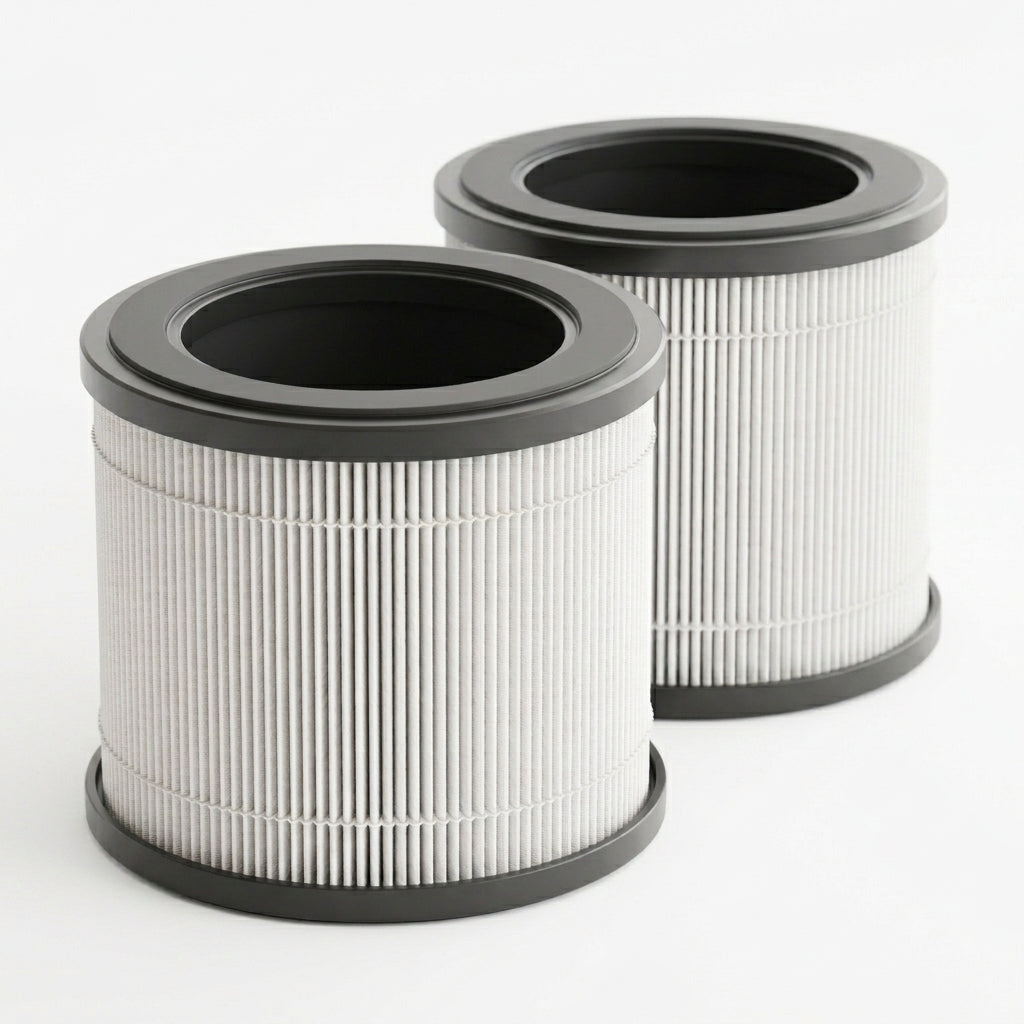 Filtre Airéa | Lot de 2 filtres HEPA H13