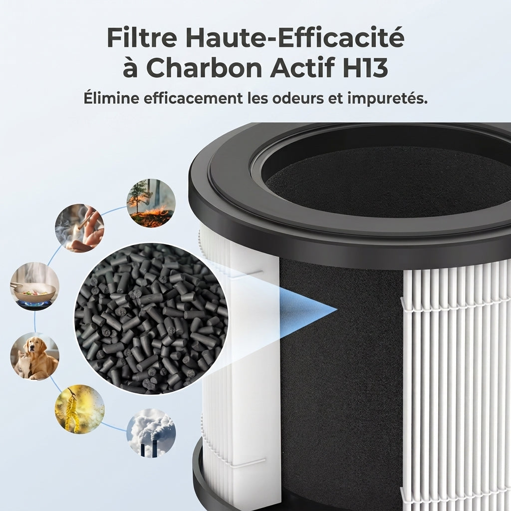 Filtre Airéa | Lot de 2 filtres HEPA H13