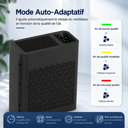 Purificateur d'air HEPA Airéa Max | Noir