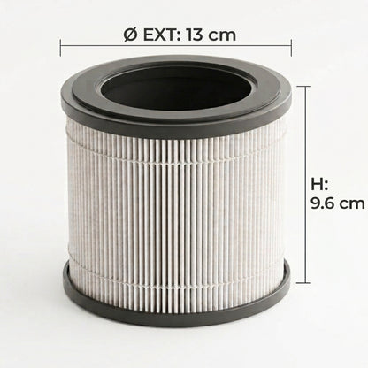 Filtre Airéa | Lot de 2 filtres HEPA H13