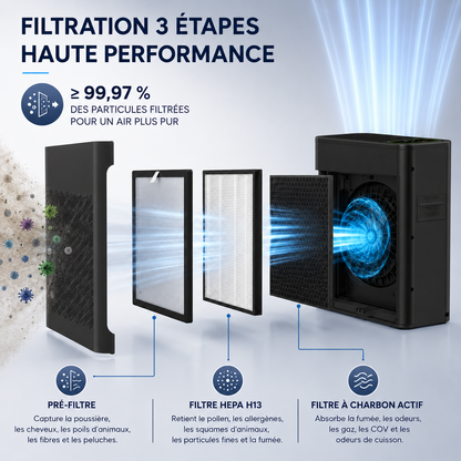 Purificateur d'air HEPA Airéa Max | Noir